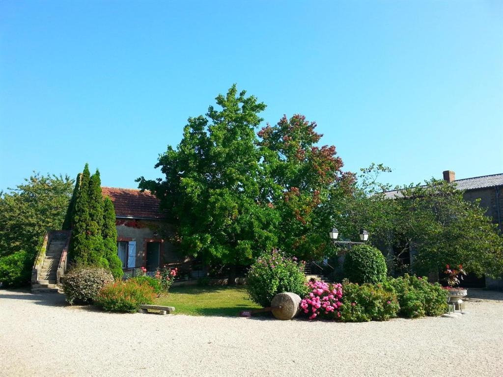 Bed and Breakfast Chateau De La Galissonniere Le Pallet Exterior foto